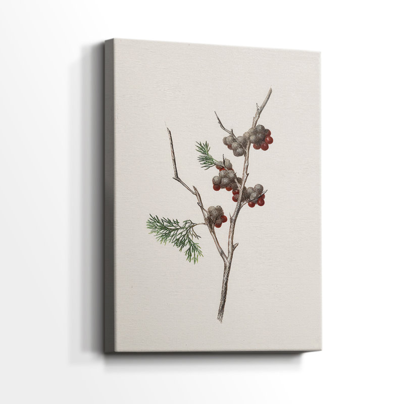 Snowwhite Dusk Square-Premium Gallery Wrapped Canvas