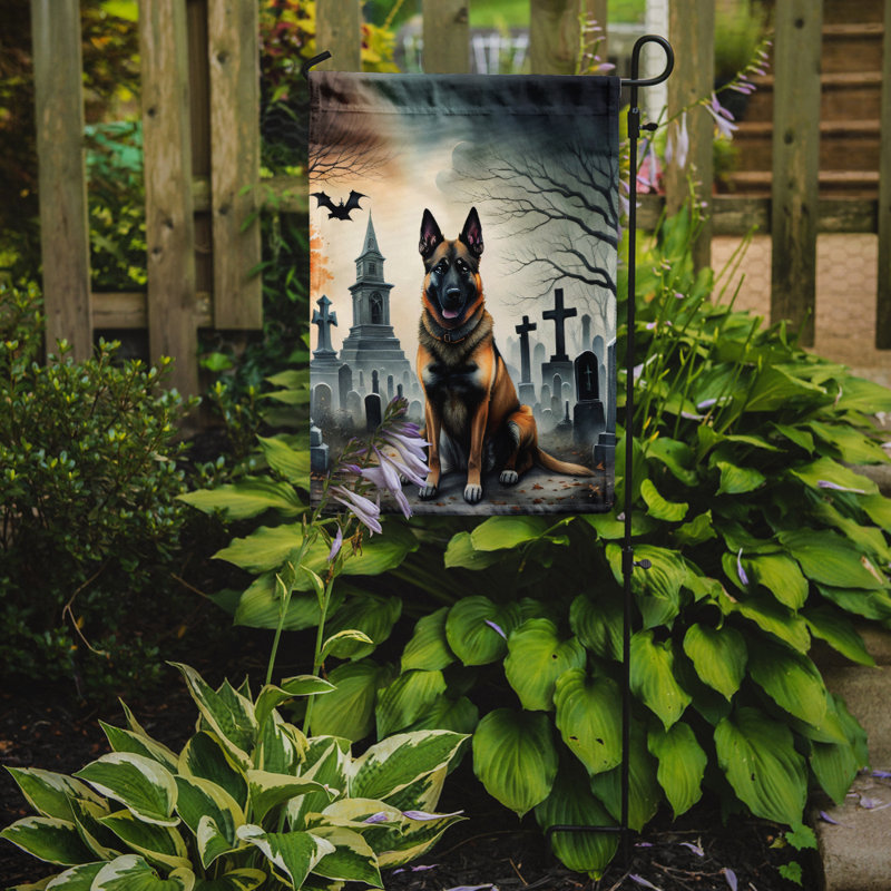 Drapeau belge du jardin d'Halloween malinois