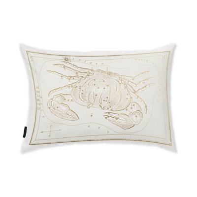 Housse et insert de coussin rectangulaire Zodiac