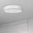 Nabisco Light Simple Circle Led Flush Mount-668769269
