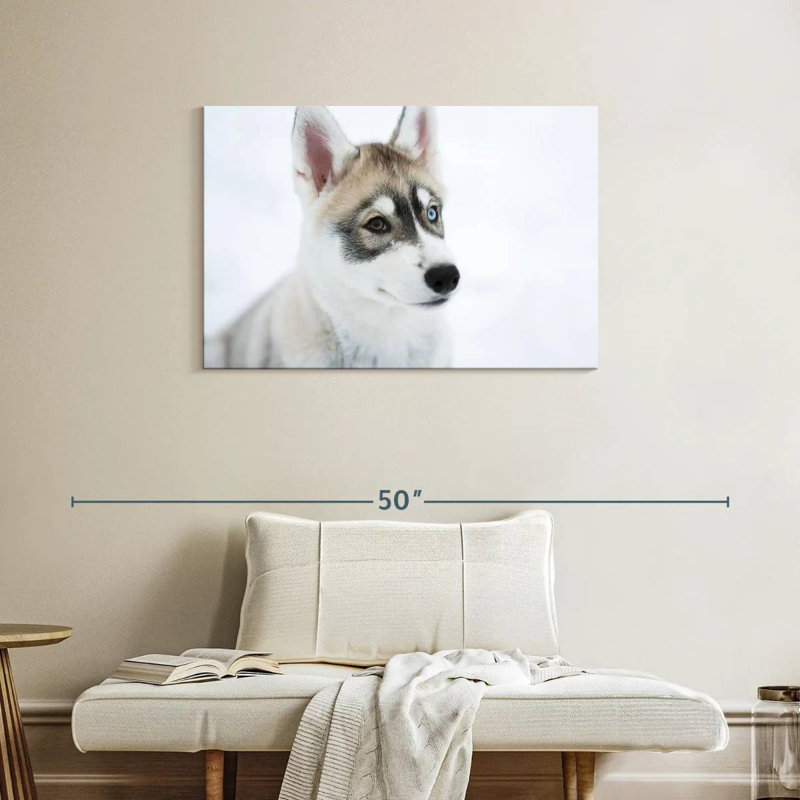 Brampt Glaring Husky, 24" H x 36" W