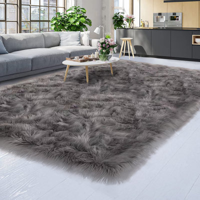 Indoor Rug