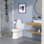 Toilette une pièce Rainlex RX-T29W