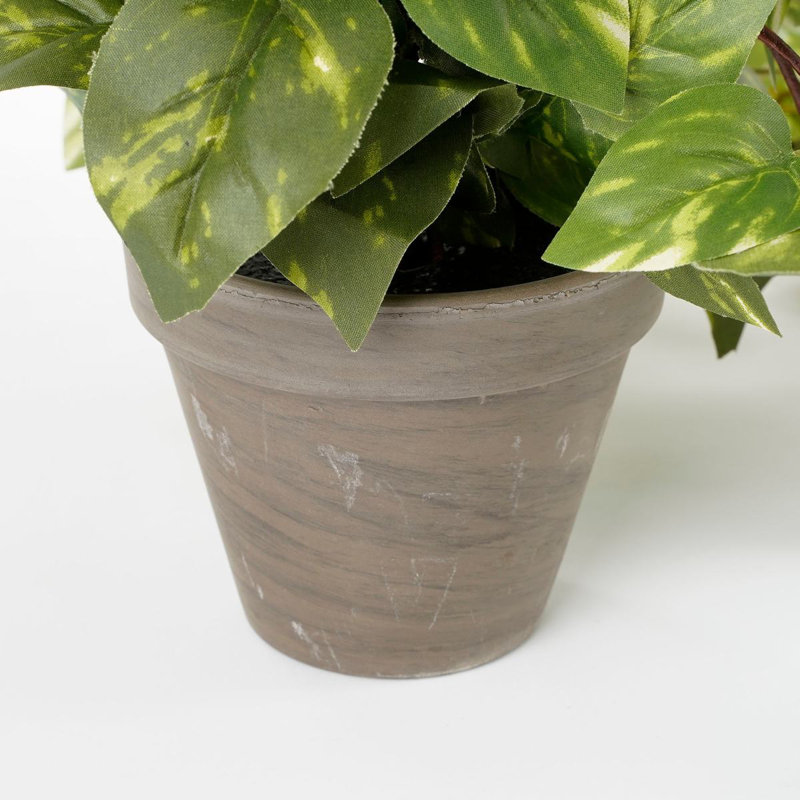 scindapsus 25 cm H Faux Plant