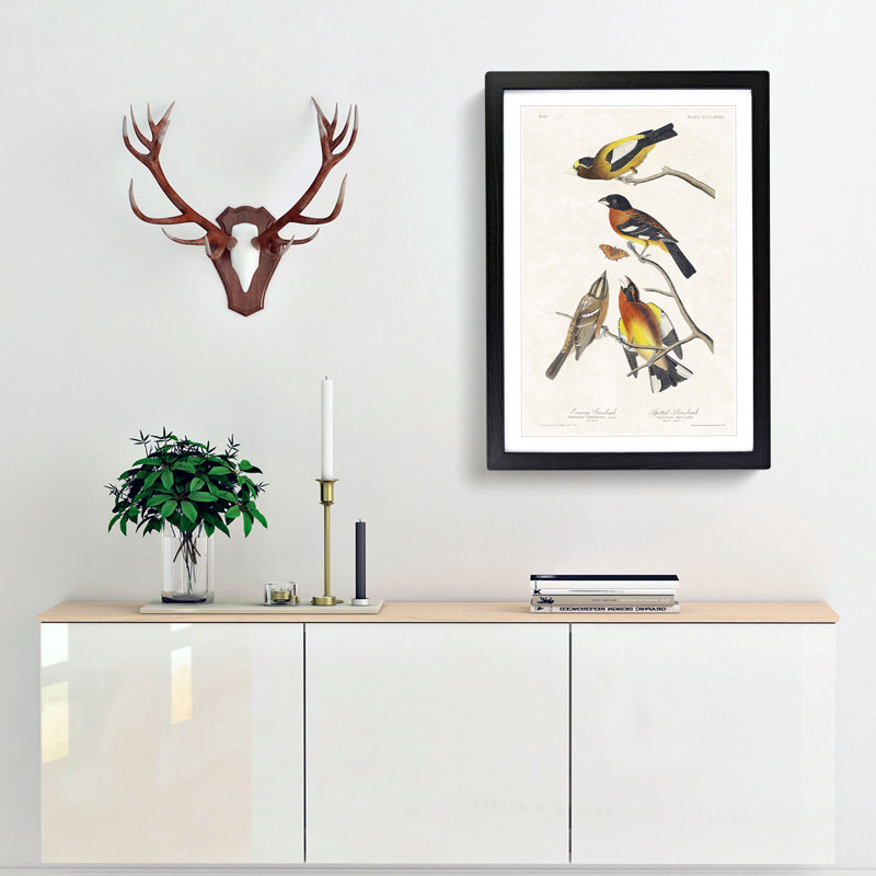 Grosbeak Birds by John Audubon - Picture Frame Painting Print, 36cm H x 27cm W x 2cm D, Black Framed