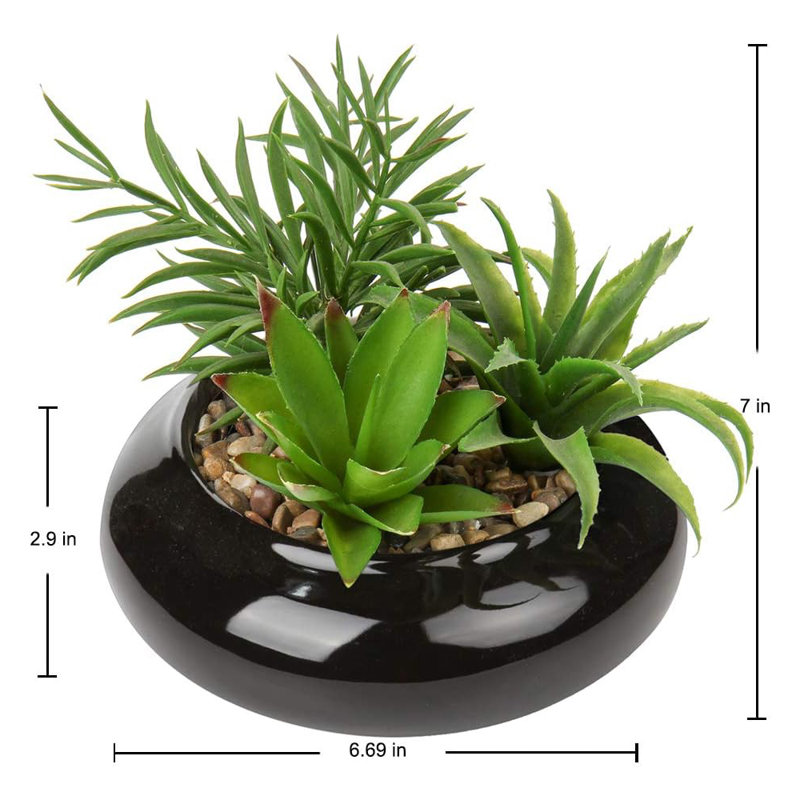 Plante artificielle de 7 po, Noir