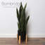Fausse plante à plante en pot 26,25 po Bornbridge