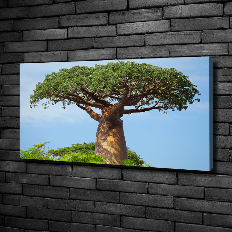 Baobab - No Frame Print on Glass, Canvas, 50cm H x 100cm W x 2cm D