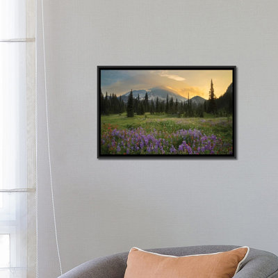 " Mountainside Landscaper, Indian Henry's Hunting Ground, Mount Rainier National Park, Washington, USA " by Gary Luhm