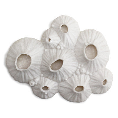 Art mural Paleo Barnacle