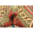 Kaibab Red Rug