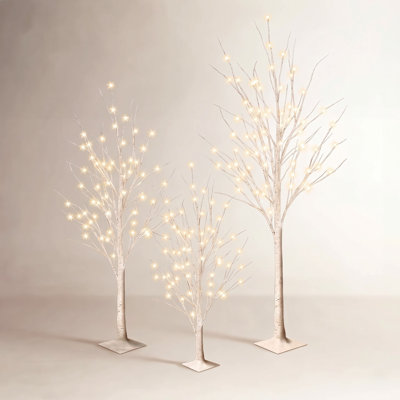 Holiday Lighting