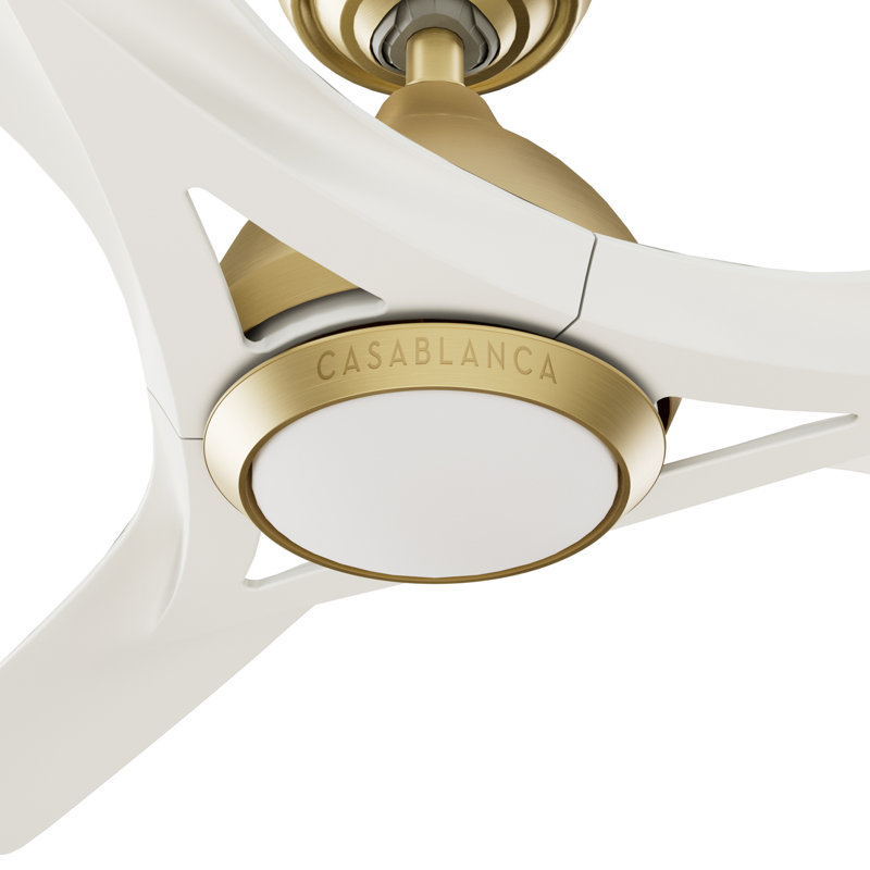 Casablanca 54 inch Elise ENERGY STAR®  Damp Rated Ceiling Fan with Lights and Wall Control