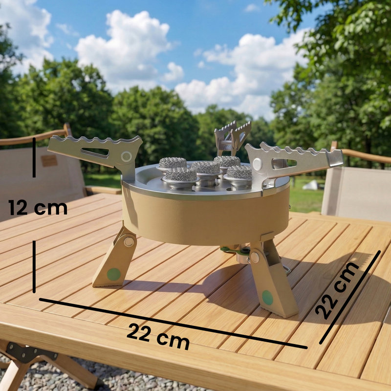 Gas Stove