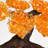 Small Genuine Citrine Clustered Gemstone Tree on Amethyst Matrix (The Money Tree)