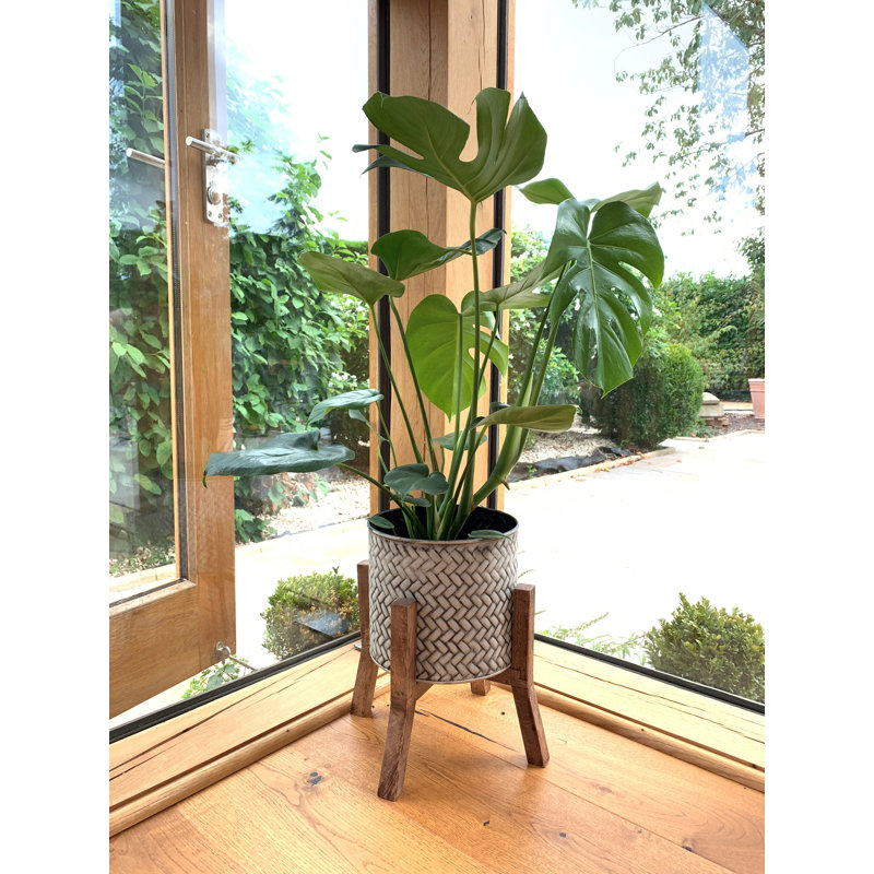 Zepeda Pot Planter