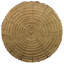 Saguaro Cactus Sculptural Side Table