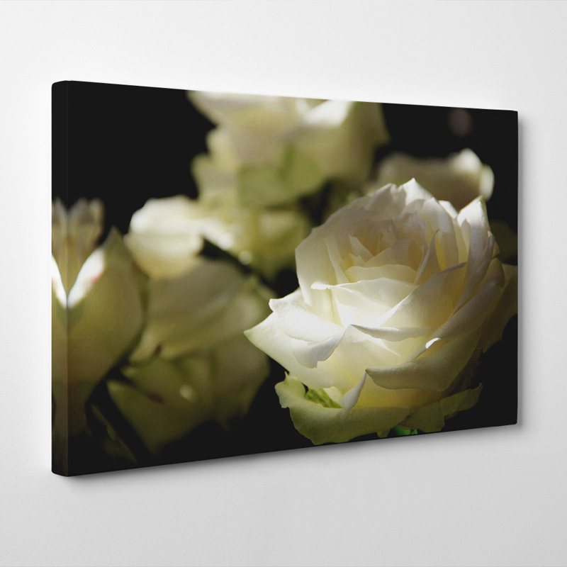 Wrapped Canvas Print, 50cm H x 76cm W