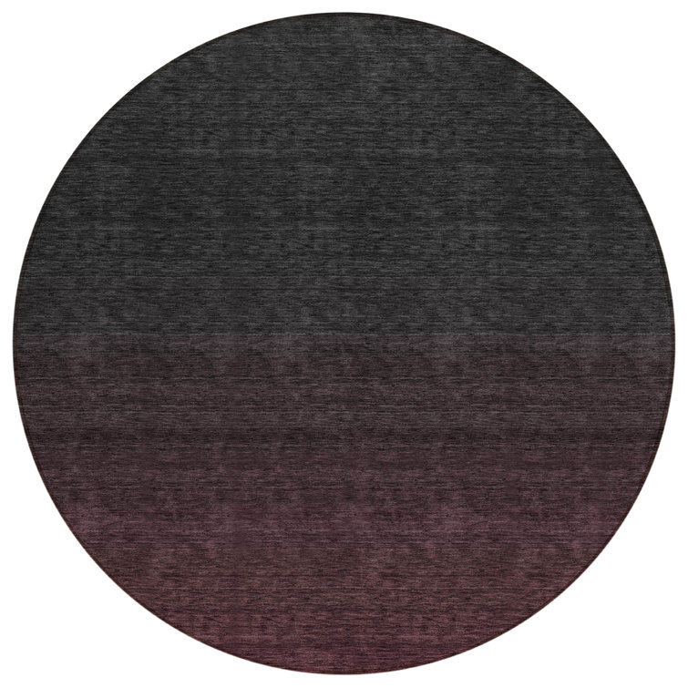  Quadree Area Rug