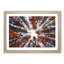 Autumn Forest Reaching Upward in Abstract - Picture Frame Painting Print-55686807-55686806