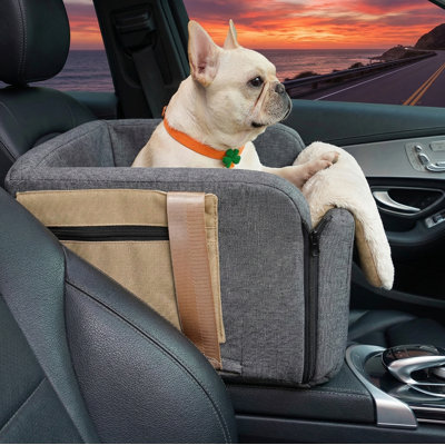 Console-mounted travel carrier for cats and dogs; functions as armrest booster seat with safety tethers; includes easy-carrying strap and converts to travel bag.