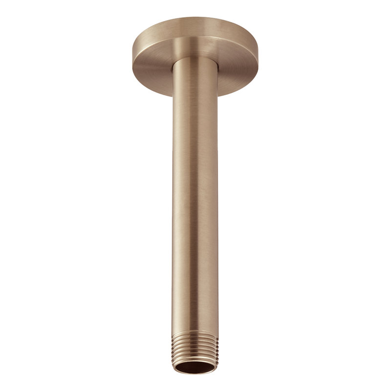 Bras de douche à pluie et bride Speakman S-2580