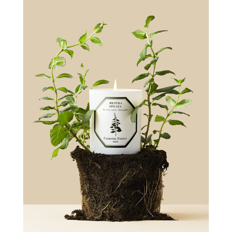 Spearmint Candle