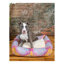 Tapis pour lit de qualité supérieure Rugs.com-110734663-100613956