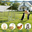 Dog House-796617350