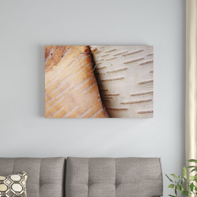 " Paper Birch Bark Peeling "