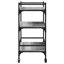 Newfolden Metal Bar Cart-1993835342