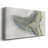 Watercolor Sharks Tooth IV- Gallery Wrapped Canvas -Ready to Hang-810552461