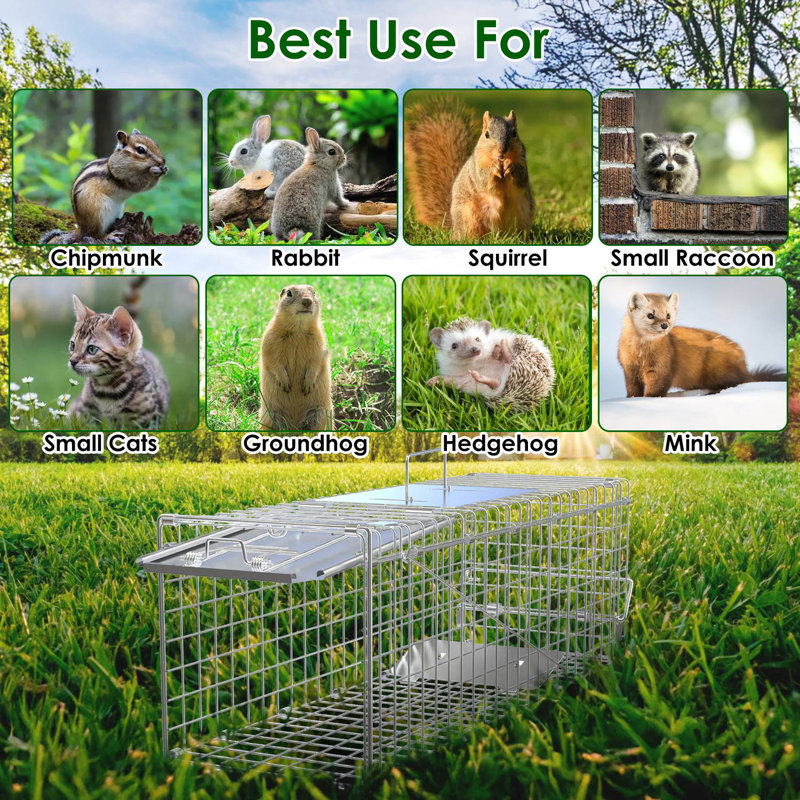 24X7.48X8.27IN Cages pliantes avec animal vivant