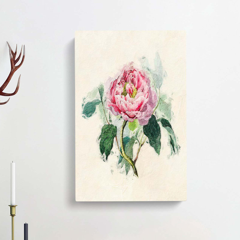 Illustration of a Pink Peony - Wrapped Canvas, 50cm H x 35cm W x 3cm D