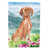 Vizsla (vert/brun/bleu) sélectionné