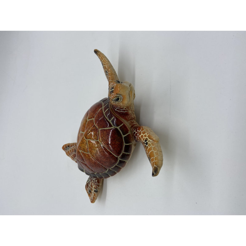 Tortue