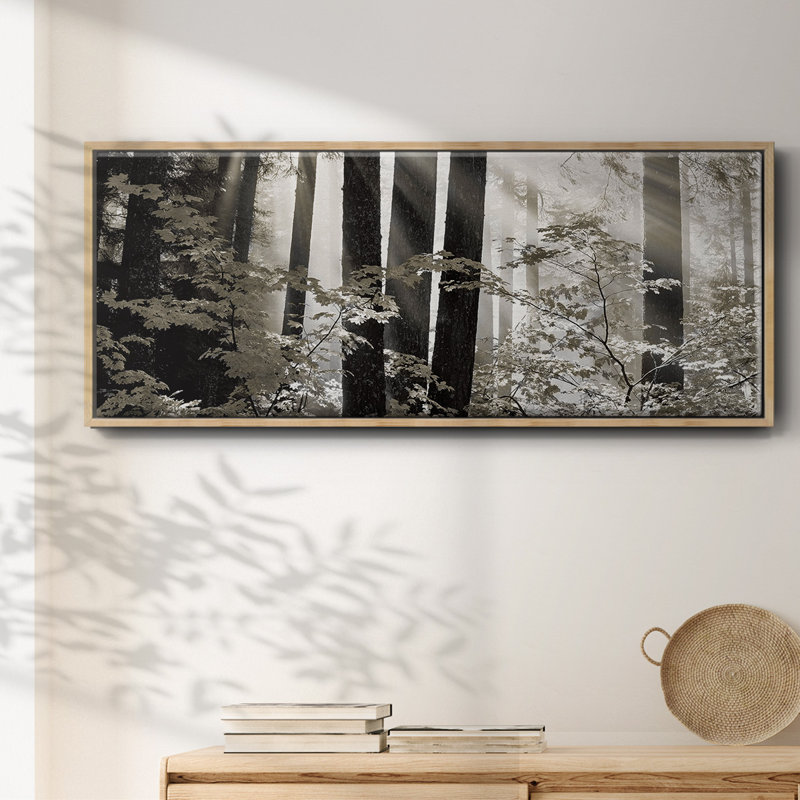 Misty Forest- Framed Canvas