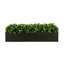 Outdoor UV Rated Boxwood in Fiberstone Planter