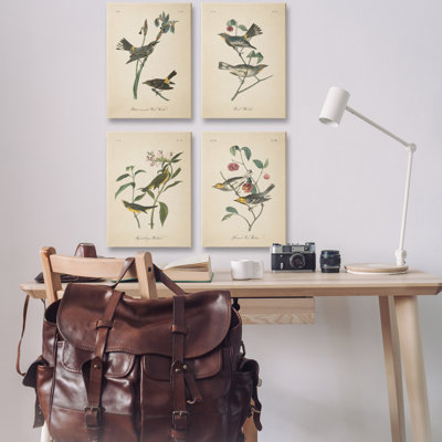  "Vintage Study Birds & Plants", ensemble de 4 toiles murales par Wild Apple Portfolio