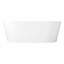 67" Arrington Acrylic Freestanding Soaking Bathtub
