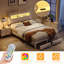 Upholstered Storage Bed-1754625636