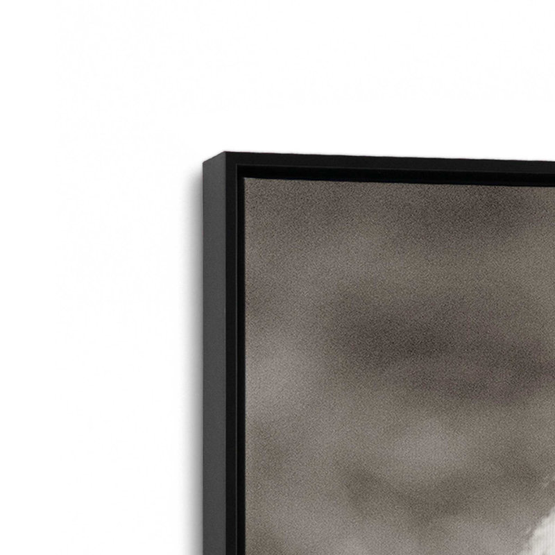 «Barn Buddy IV» par Deborah Revell, reproduction d'art, Noir, Cadre flottant, H 18 po x l 12 po