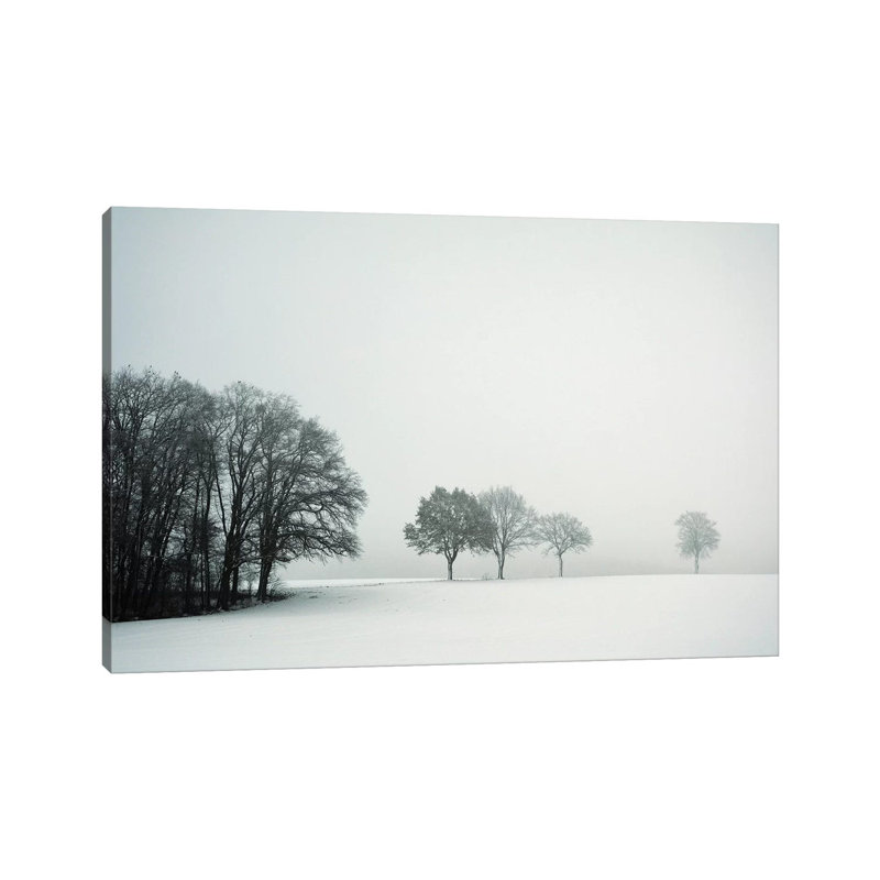 Calm Winter Day by Lena Weisbek - Wrapped Canvas Print, 66.04 cm H x 45.72 cm W x 3.175 cm D