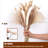 Pampas Grass Arrangement