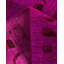 Tapis de couloir noué à la main unique Vibrance - rose, 3 pi 0 po x 10 pi 0 po