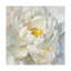 "Summer Joy I" par Danhui nai, reproduction d’art sur toile
