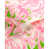 Green/Pink selected