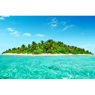 " Whole Tropical Island " by Vitalyedush