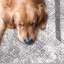 Wum Machine Woven Pet-Friendly Area Rug-1675761801