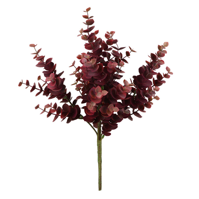 Vaporisateur de feuilles de jade Rossie, Bourgogne